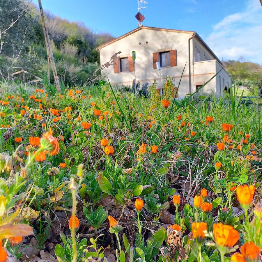 Apartamento Ca'Rosei Monteciccardo Exterior foto